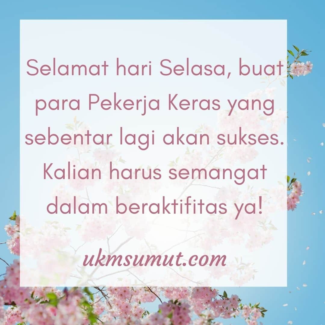 kata promo selasa