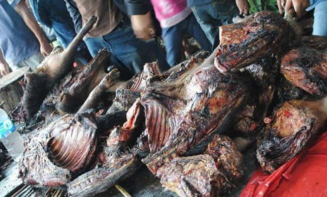 bisnis kuliner ekstrem