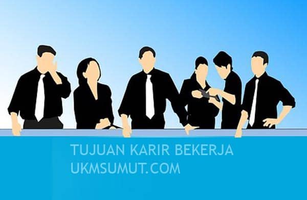 contoh tujuan karir bekerja