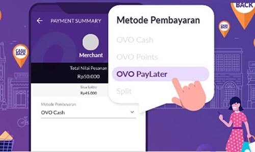 paylater ovo paylater