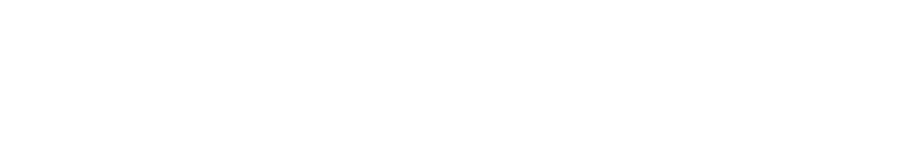 Brindonews.com